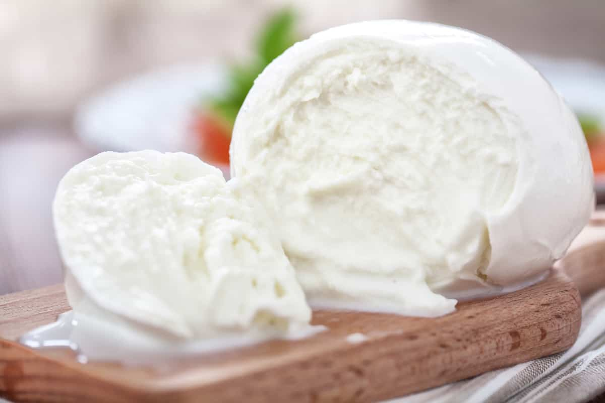 Mozarella et intolérance au lactose : Qu’en est-il ?